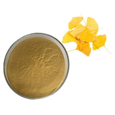 Ginkgo Biloba-Extrakt CAS 90045-36-6
