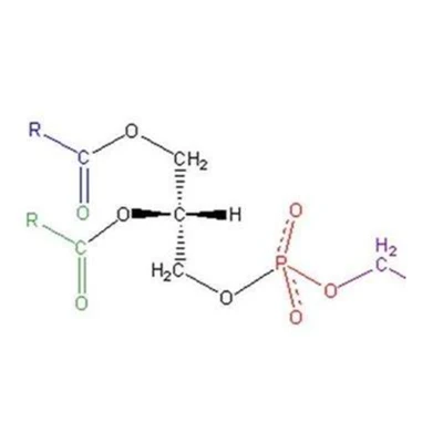 Phosphatidylserin CAS 51446-62-9